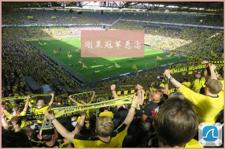 刚果冠军悬念