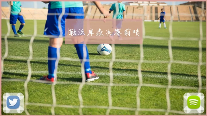 勒沃库森决赛前哨