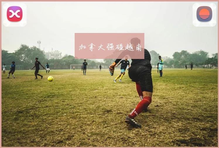 加拿大强碰越南