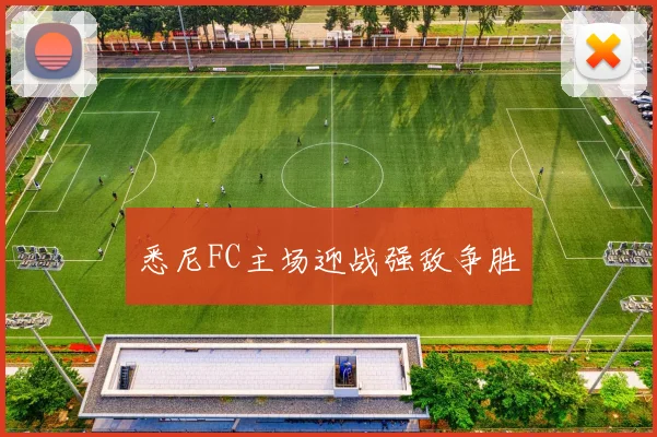 悉尼FC主场迎战强敌争胜