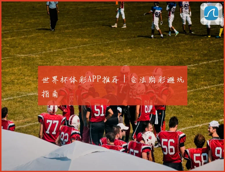 世界杯体彩APP推荐｜合法购彩避坑指南