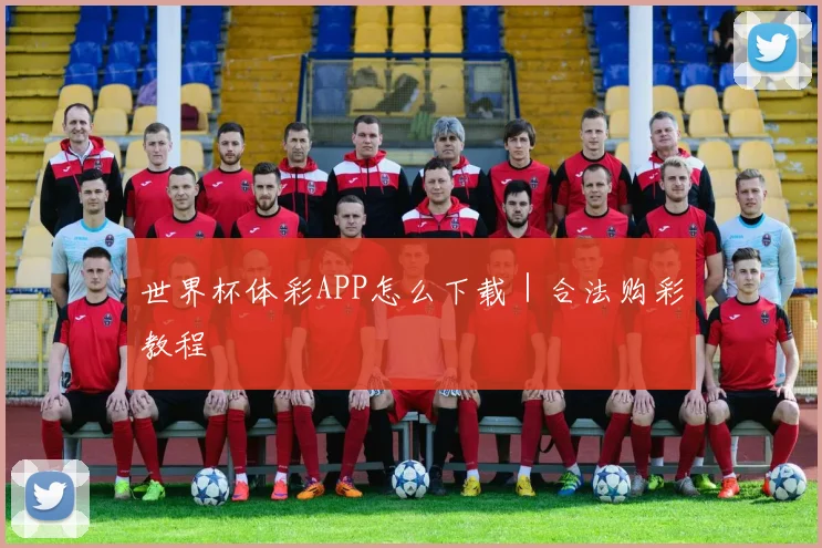 世界杯体彩APP怎么下载｜合法购彩教程