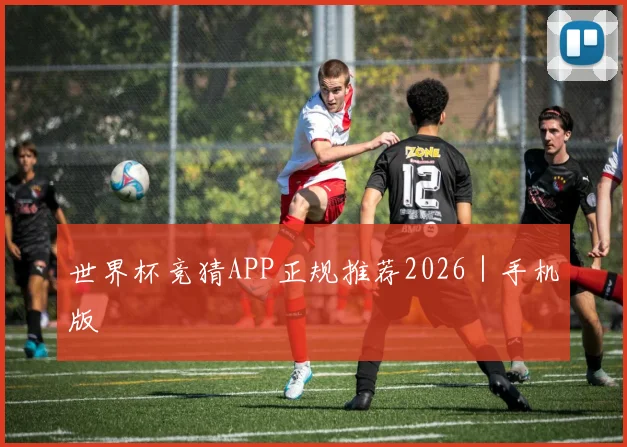 世界杯竞猜APP正规推荐2026｜手机版