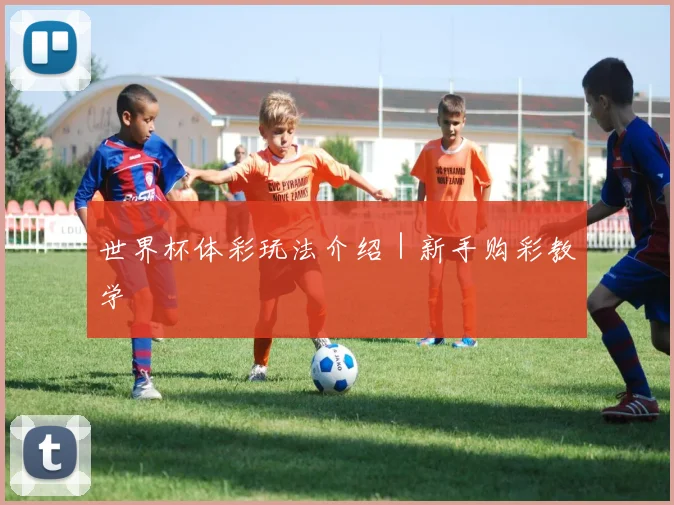 世界杯体彩玩法介绍｜新手购彩教学