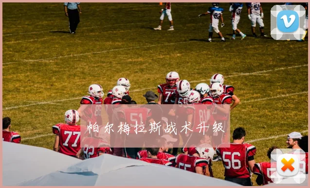 帕尔梅拉斯战术升级